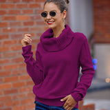 New Sweater Women's Horse Hair Solid Color Long-Sleeved Collar Knitwear Shirt In Autumn And Winter 2025