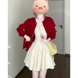 Korean Gentle Temperament Red Knitted Shirt Coat Wave Dot Square Tie Dress Women's Spring And Summer New Set